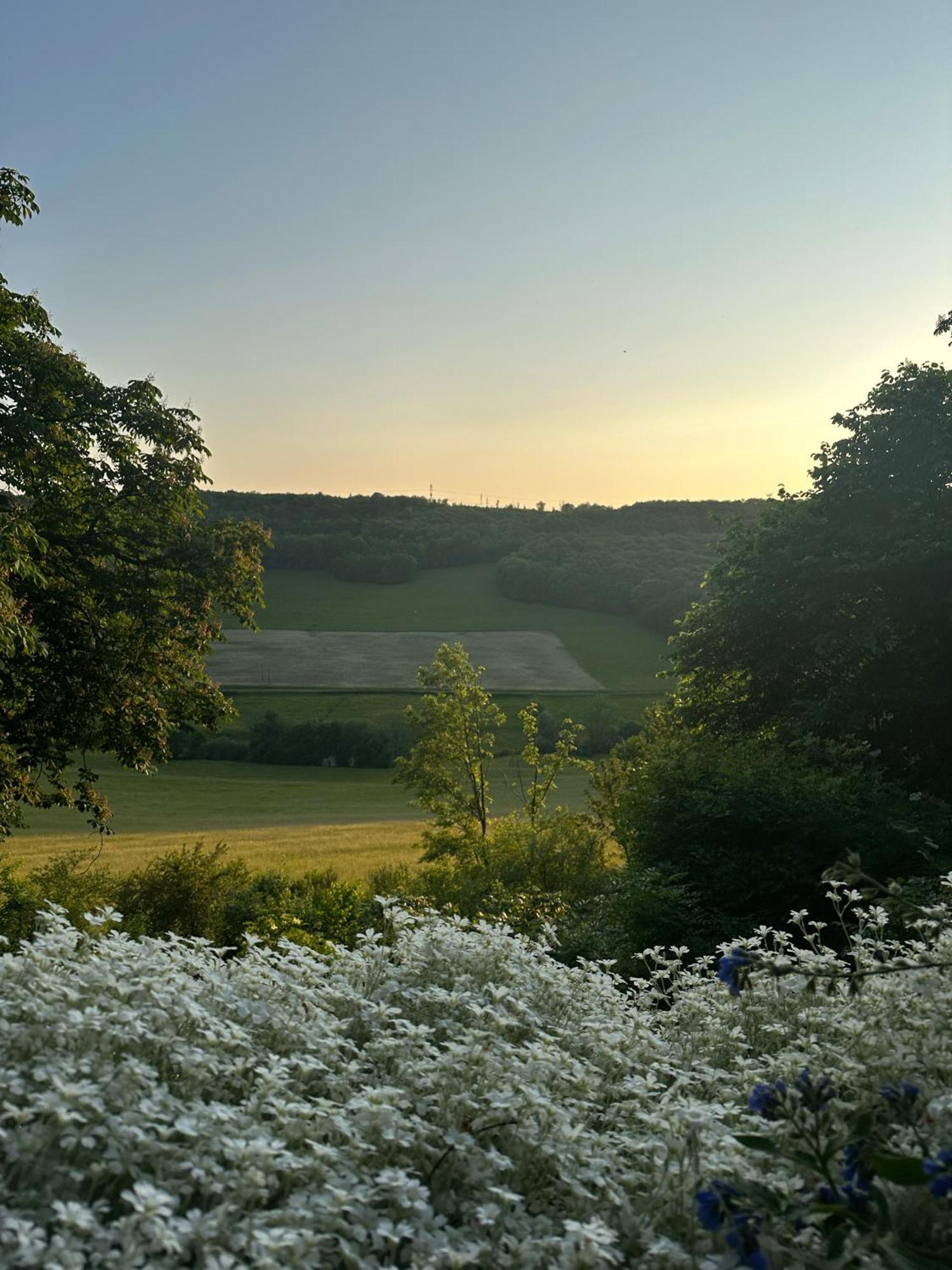 Château de Champrenault Extérieur photo