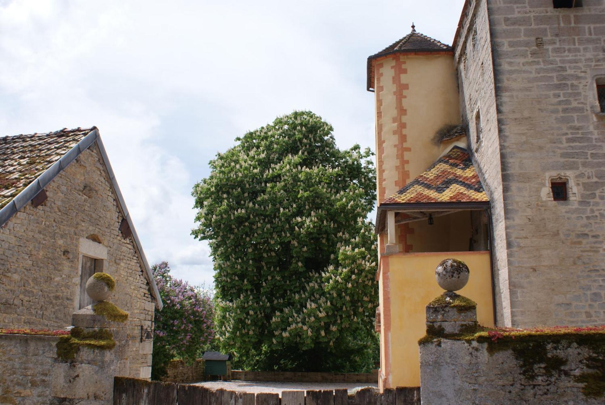 Château de Champrenault Extérieur photo
